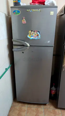My 2-Door Top-Freezer Refrigerator - Working Condition
