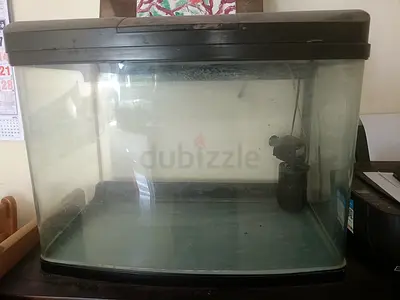 Aquarium tank with filter and light