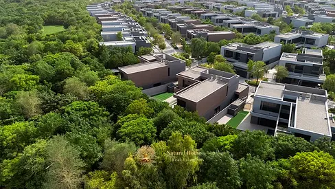 Nature Luxury: 4BR Villa in 100K Tree Forest + 50% Registration Off