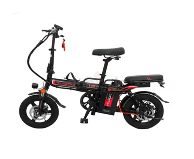 Kugoo Electric Scooter T29