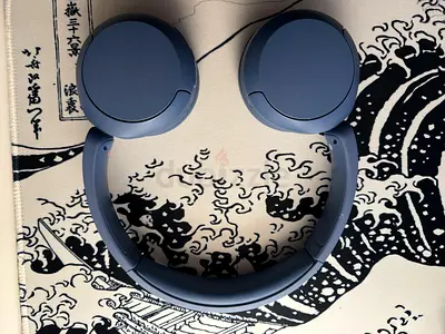 Sony WH-CH520 Wireless Headphones