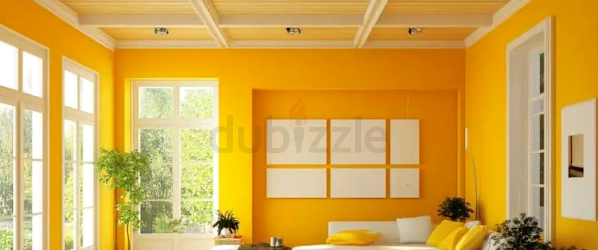 DPV_View_Image_4