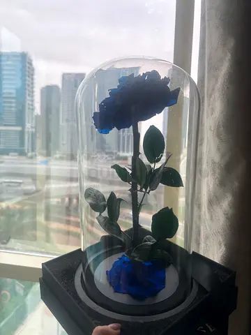 Blue Rose in Glass Dome