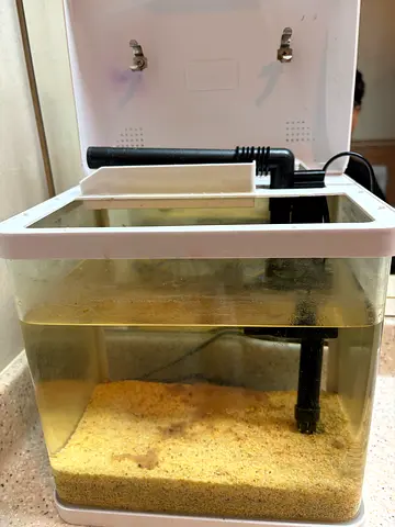 Small fish tank