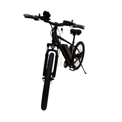 Winner Sky Electric Bicycle (500W, 36V10Ah, 30 km/h)