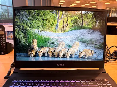 MSI Katana 15 HX B14WFK | Brand New (1 Day Used) | 2 Years Warranty | i7 14650HX RTX 8GB