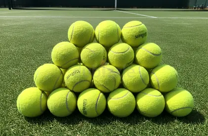 60 wilson tennis balls