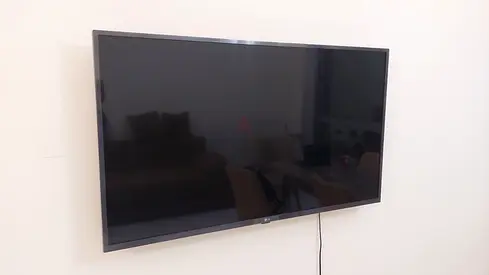 Wall-mounted flat panel TV - working condition