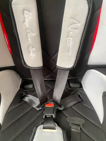 Nest Baby Car Seat - Lightly used
