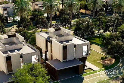 Prime Cluster | Large Plot | Genuine