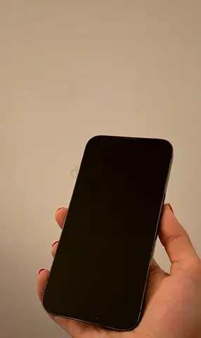 iPhone 13 Pro 256 gb