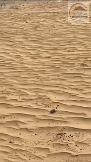 Prime residential land for sale in Mazyara – Sharjah | Strategic location and upscale family livin