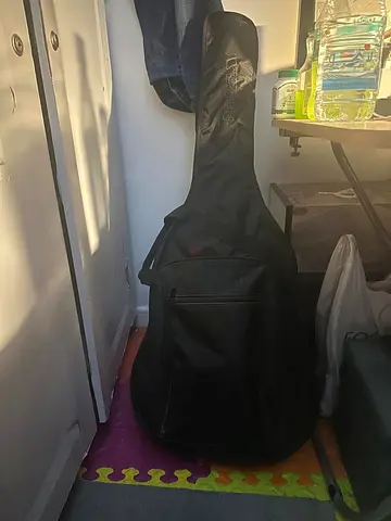 Guitar with Protective Gig Bag