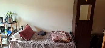 Executive Bachelor room