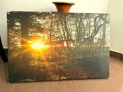 Forest Sunset Canvas Print