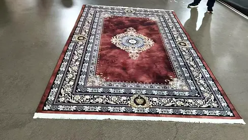 Elegant European/Classical Area Rug