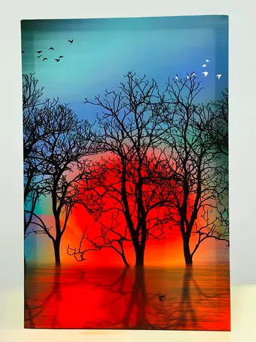 Landscape Silhouette* (Trees  Sunset)