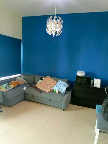 Paint  service in Dubai | Handyman service | Villa Renovation | Tile Work | ceiling work Spray paint
