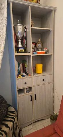 Stylish Storage Shelf with Open and Closed Compartments