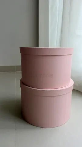 Set of 2 Pink Round Storage / Hat Boxes