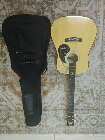 Acoustic Guitar with Case
