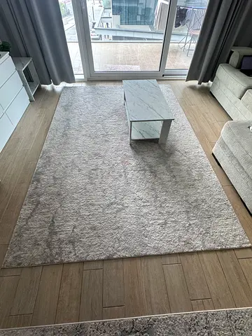 Living Room Carpet