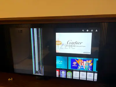 LG OLED TV 75 inch - internal damage