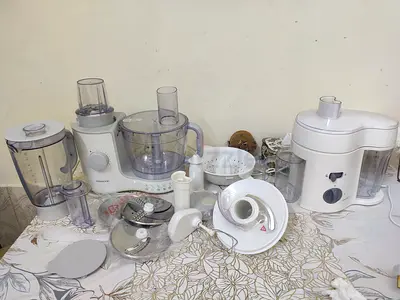 Food processor and juicer