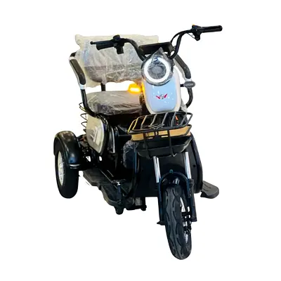 Rohan Wings X7 3-Wheels Electric Scooter