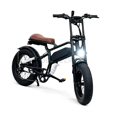 Rohan Wings ST-20 Electric Bike (450W, 48V15Ah, 46 km/h