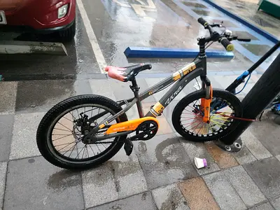 Ckid cycle age 5 to 8