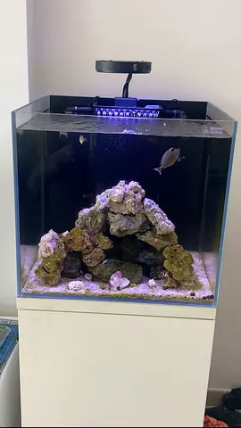 Marine aquarium