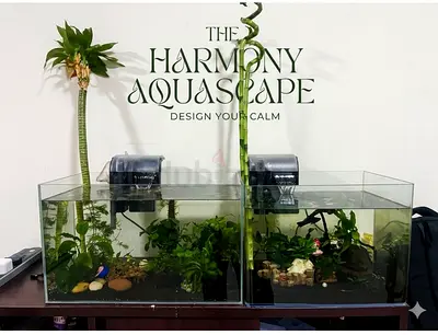 Planted Aquarium for Sale