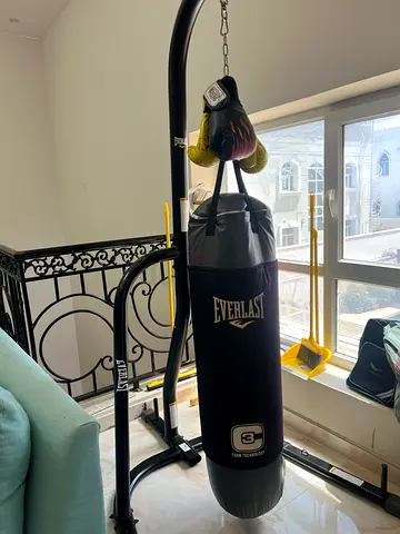 Everlast heavy punching bag with stand and gloves (used) excellent condition