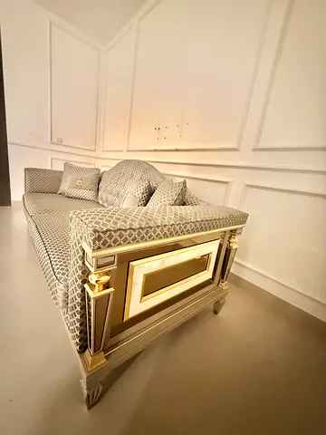 Elegant Sofa with Decorative Pillows