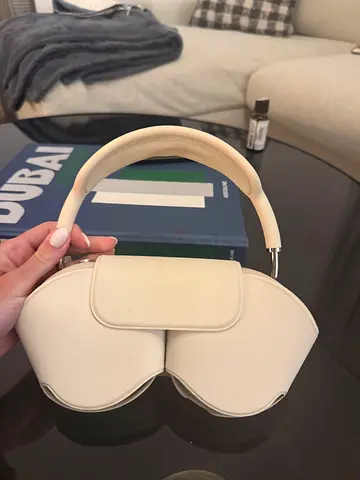 White Wireless Earphones Case