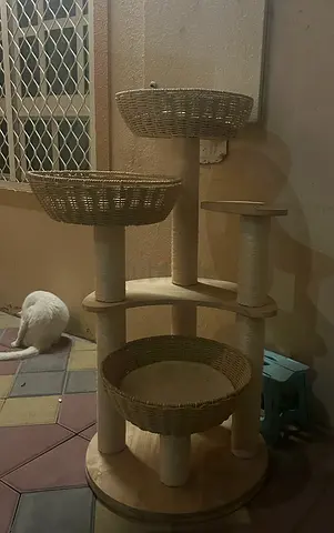 cat tree house for sale