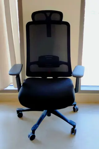 PROWORK Ergonomic mesh chair with Headrest