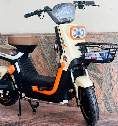 Kugoo Electric Scooter - T2