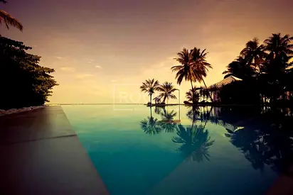 Premium Lifestyle I Fully Furnished I Branded