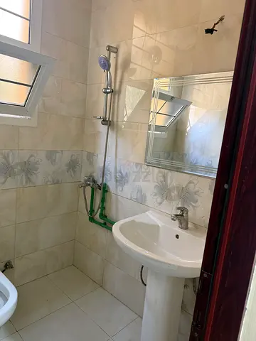 دبي المزهر /2