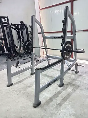 Life Fitness squat/bench rack with barbell and plates - used