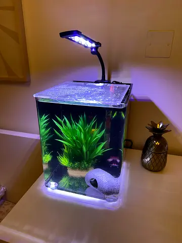 Aquarium with LED Light and Decorative Plants