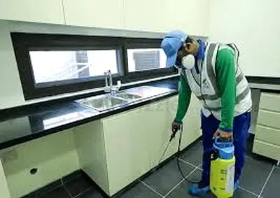 Bed Bug Pest Control Dubai | Eco Guardians | Call