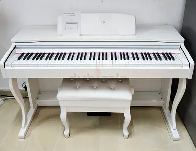 The Steiner DP-800 (often updated to the DP-850) is an 88-key weighted hammer-action digital piano