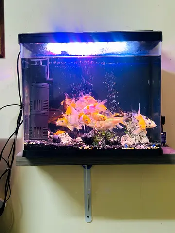 Aquarium