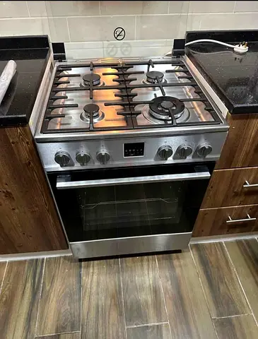 Stainless Steel Gas Cooker with Oven
