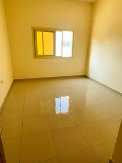 Lavish studio full family Building just rent 20k near ambassador school