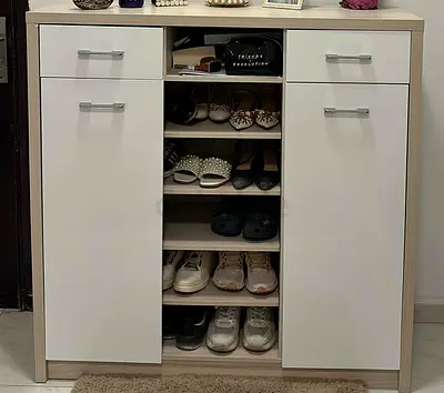 Modern Shoe Cabinet with Ample Storage