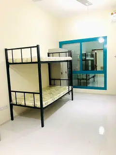 Executive bedspace in qusais